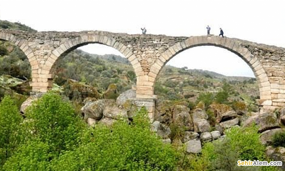 Web Sitemiz Yayında!